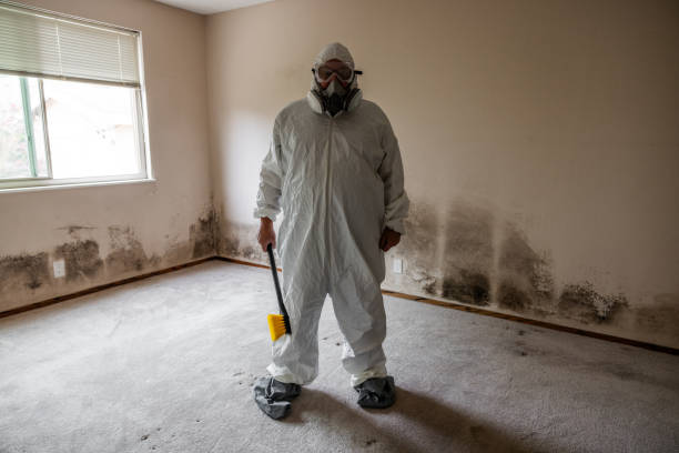 Best Professional Mold Removal  in Whitewater, KS